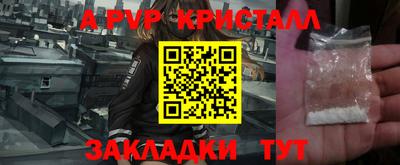 ПСИЛОЦИБИНОВЫЕ ГРИБЫ Кингисепп