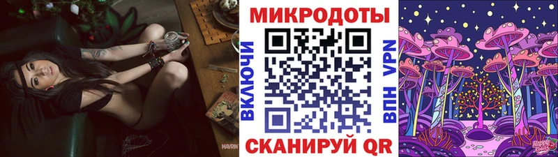 блэк спрут ТОР  Подольск  Галлюциногенные грибы Cubensis 