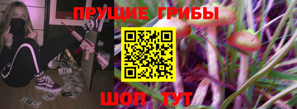 Псилоцибиновые грибы MAGIC MUSHROOMS  Вход с VPN  что такое   Подольск 
